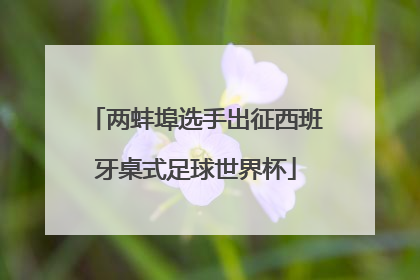 两蚌埠选手出征西班牙桌式足球世界杯