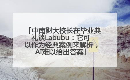 中南财大校长在毕业典礼谈Labubu：它可以作为经典案例来解析，AI难以给出答案
