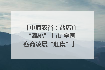 中原农谷：盐店庄“滩桃”上市 全国客商凌晨“赶集”