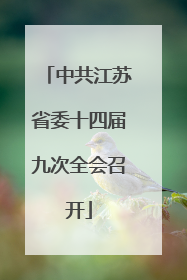 中共江苏省委十四届九次全会召开