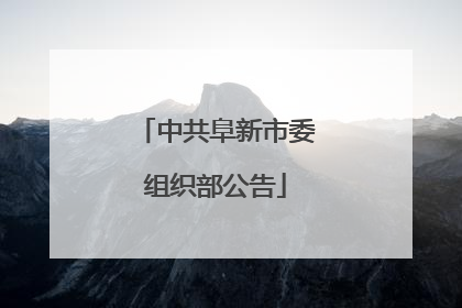 中共阜新市委组织部公告