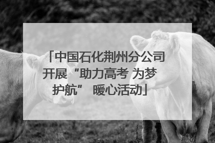 中国石化荆州分公司开展“助力高考 为梦护航” 暖心活动