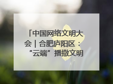 中国网络文明大会｜合肥庐阳区：“云端”播撒文明种子 共建清朗网络空间