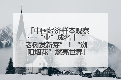 中国经济样本观察·一“业”成名丨“老树发新芽”！“浏阳烟花”燃亮世界