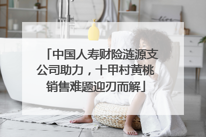 中国人寿财险涟源支公司助力，十甲村黄桃销售难题迎刃而解