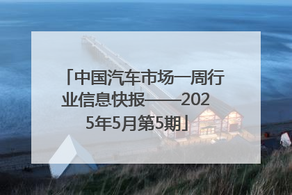 中国汽车市场一周行业信息快报——2025年5月第5期