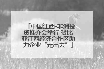 中国江西-非洲投资推介会举行 赞比亚江西经济合作区助力企业“走出去”