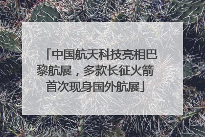 中国航天科技亮相巴黎航展，多款长征火箭首次现身国外航展