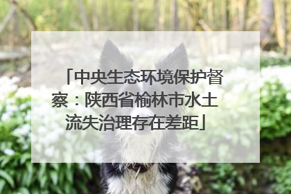 中央生态环境保护督察：陕西省榆林市水土流失治理存在差距
