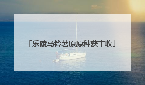 乐陵马铃薯原原种获丰收
