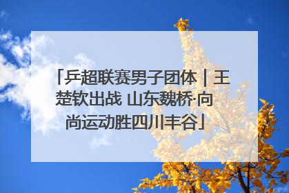 乒超联赛男子团体｜王楚钦出战 山东魏桥·向尚运动胜四川丰谷