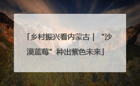 乡村振兴看内蒙古｜“沙漠蓝莓”种出紫色未来