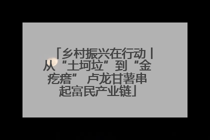 乡村振兴在行动丨从“土坷垃”到“金疙瘩” 卢龙甘薯串起富民产业链
