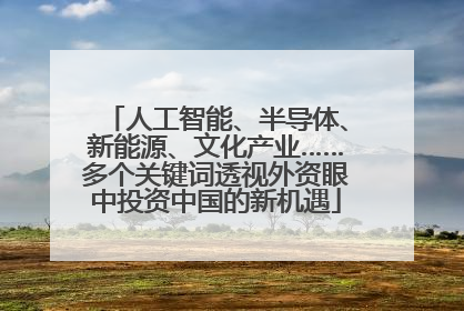 人工智能、半导体、新能源、文化产业……多个关键词透视外资眼中投资中国的新机遇