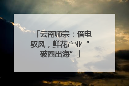 云南师宗：借电驭风，鲜花产业“破圈出海”