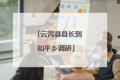 云霄县县长到和平乡调研