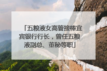 五粮液女高管接棒宜宾银行行长，曾任五粮液副总、董秘等职