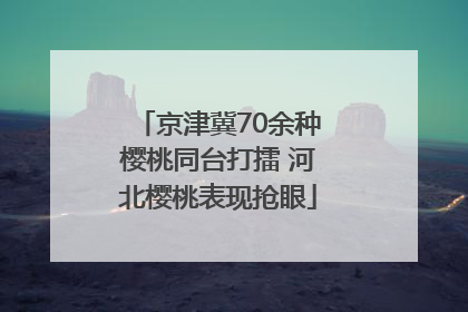 京津冀70余种樱桃同台打擂 河北樱桃表现抢眼