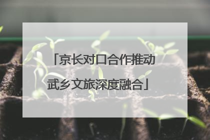 京长对口合作推动武乡文旅深度融合