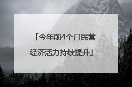 今年前4个月民营经济活力持续提升