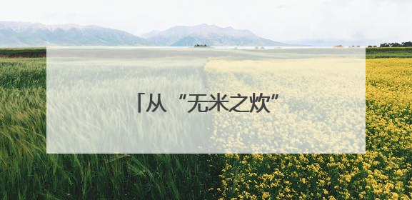 从“无米之炊”到“价值跃升”