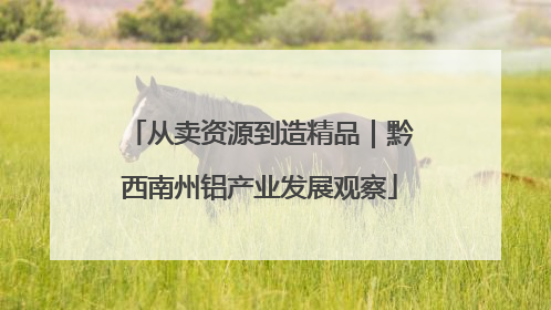 从卖资源到造精品｜黔西南州铝产业发展观察