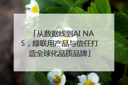 从数据线到AI NAS，绿联用产品与信任打造全球化品质品牌