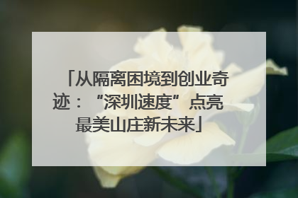 从隔离困境到创业奇迹：“深圳速度”点亮最美山庄新未来
