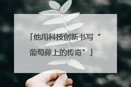 他用科技创新书写“葡萄藤上的传奇”