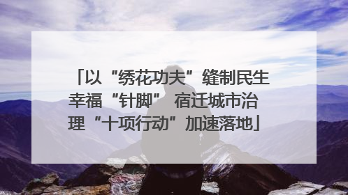 以“绣花功夫”缝制民生幸福“针脚” 宿迁城市治理“十项行动”加速落地