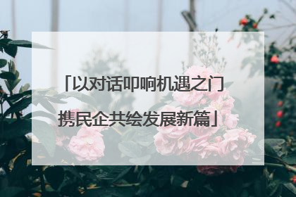以对话叩响机遇之门 携民企共绘发展新篇