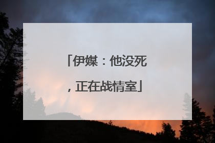 伊媒：他没死，正在战情室