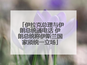 伊拉克总理与伊朗总统通电话 伊朗总统称伊斯兰国家须统一立场