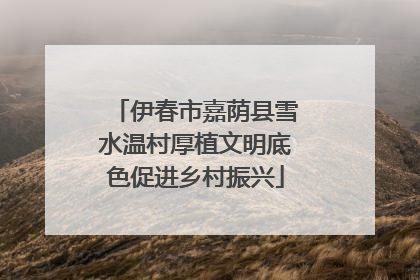 伊春市嘉荫县雪水温村厚植文明底色促进乡村振兴