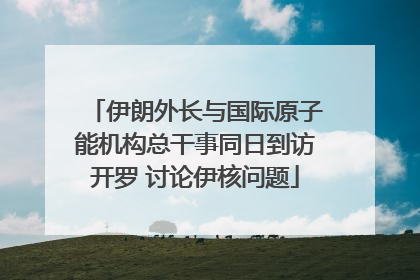 伊朗外长与国际原子能机构总干事同日到访开罗 讨论伊核问题