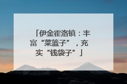 伊金霍洛镇：丰富“菜篮子”，充实“钱袋子”