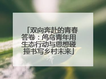 双向奔赴的青春答卷：鸬鸟青年用生态行动与思想碰撞书写乡村未来
