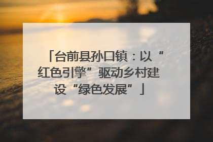 台前县孙口镇：以“红色引擎”驱动乡村建设“绿色发展”