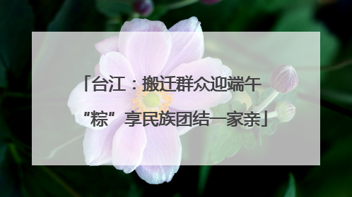 台江：搬迁群众迎端午 “粽”享民族团结一家亲