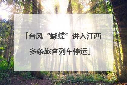 台风“蝴蝶”进入江西 多条旅客列车停运