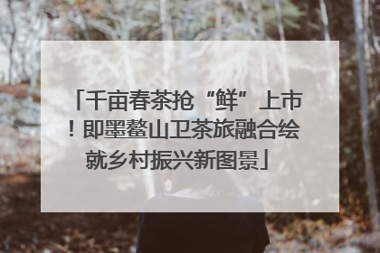 千亩春茶抢“鲜”上市！即墨鳌山卫茶旅融合绘就乡村振兴新图景