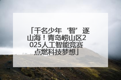 千名少年‘智’逐山海！青岛崂山区2025人工智能竞赛点燃科技梦想