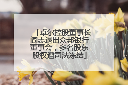 卓尔控股董事长阎志退出众邦银行董事会，多名股东股权遭司法冻结