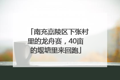 南充嘉陵区下张村里的龙舟赛，40亩的堰塘里来回跑