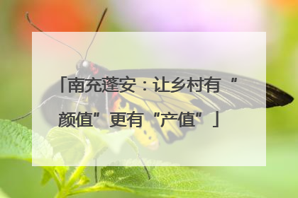 南充蓬安：让乡村有“颜值”更有“产值”