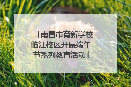 南昌市育新学校临江校区开展端午节系列教育活动