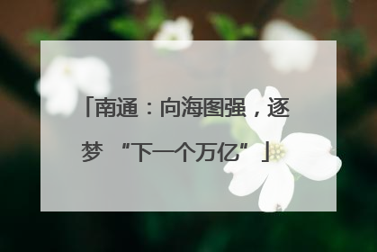 南通：向海图强，逐梦 “下一个万亿”