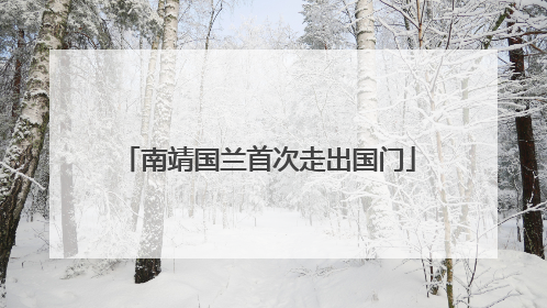 南靖国兰首次走出国门