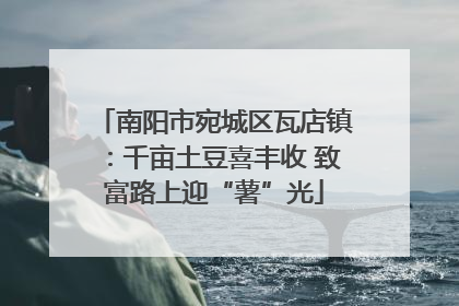 南阳市宛城区瓦店镇：千亩土豆喜丰收 致富路上迎“薯”光