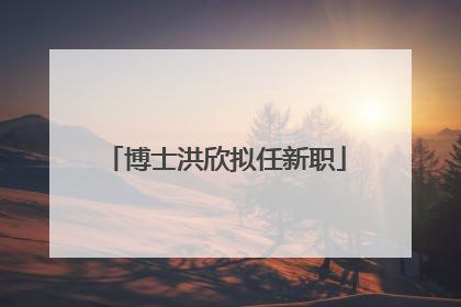 博士洪欣拟任新职